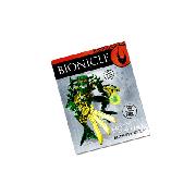 Lego BIONICLE - Bionicle Guard the Secret Activity Book